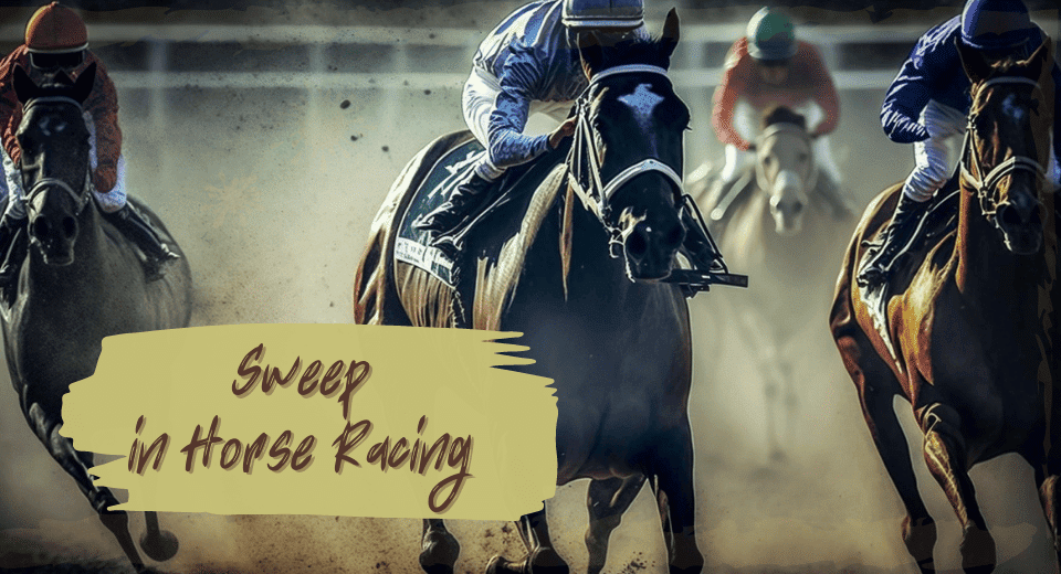 What Is a Sweep in Horse Racing