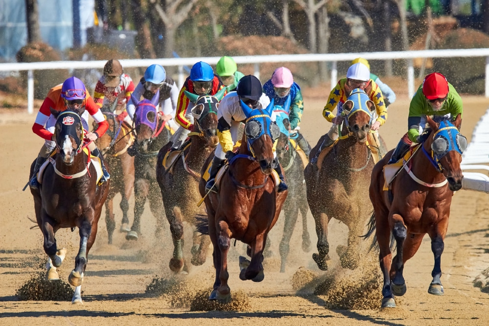 Top Contenders For The 2023 Preakness Stakes TheSportsHint